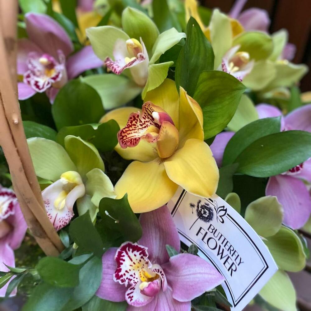 Корзина с розовыми, желтыми и зелеными орхидеями 