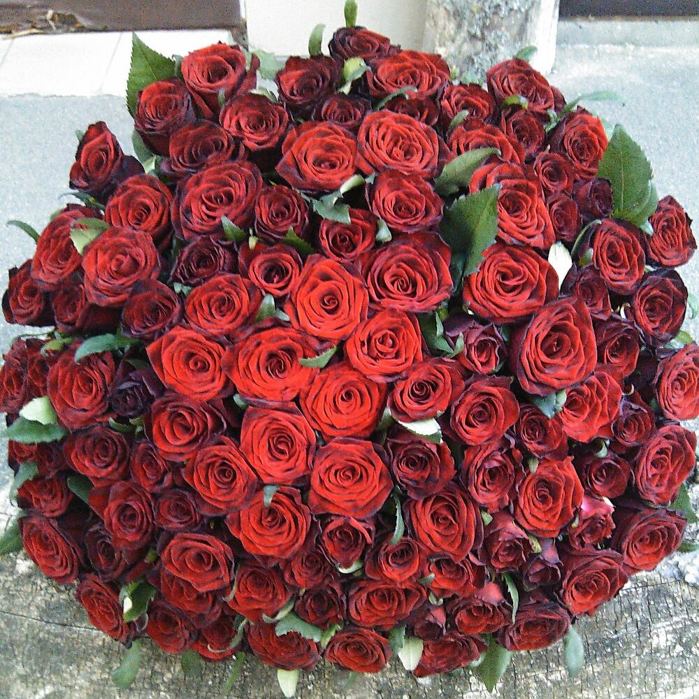 Букет 101 красная роза